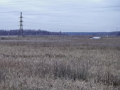 Вид на истоки Яузы от Ярославского шоссе