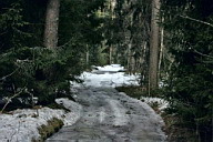 Лесные дороги еще покрыты льдом и снегом