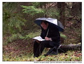 Во время дождя туристов охватывает необъяснимая страсть к чтению