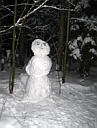 В лесу нас приветствовал снежный человек