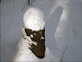 Шапка снег