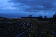 Кукурузное поле, ночь опускается, грязь прилипает к ногам, поход удался