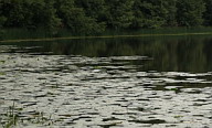 Озеро Чащиское