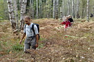 Осенними папортниками.