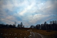 Перламутровое утро