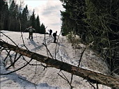 Серия «Беговые лыжи в жару»